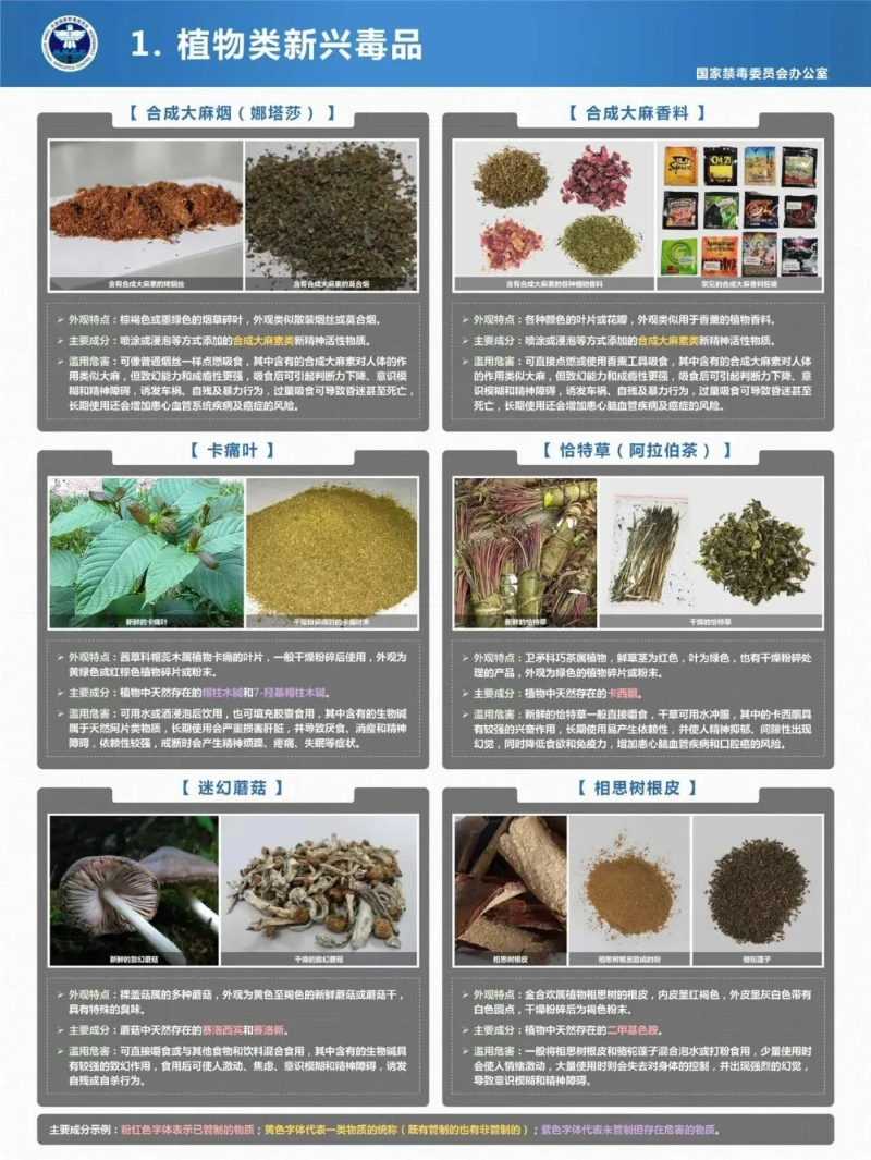 【毒害知多D】小心！有毒！